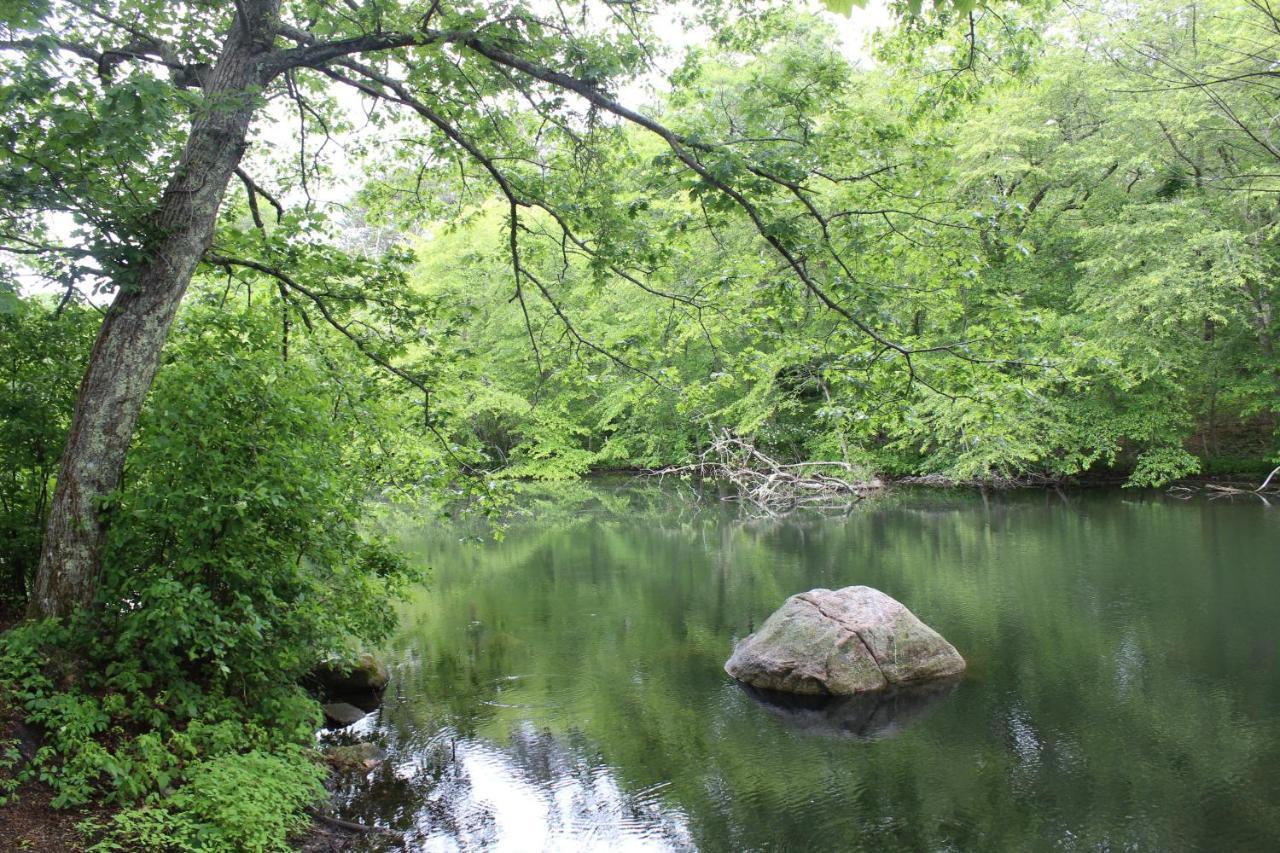 Herring Run Bourne Ngoại thất bức ảnh