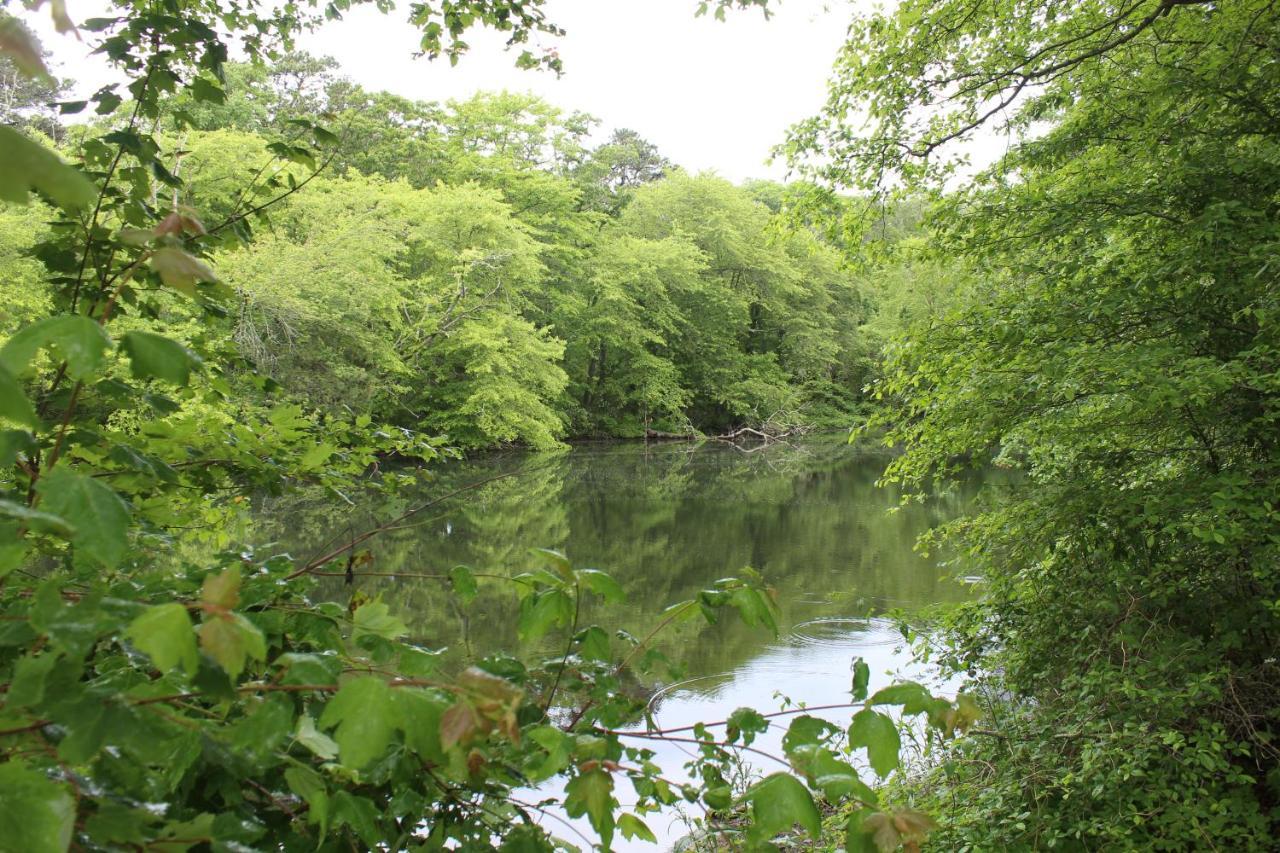 Herring Run Bourne Ngoại thất bức ảnh