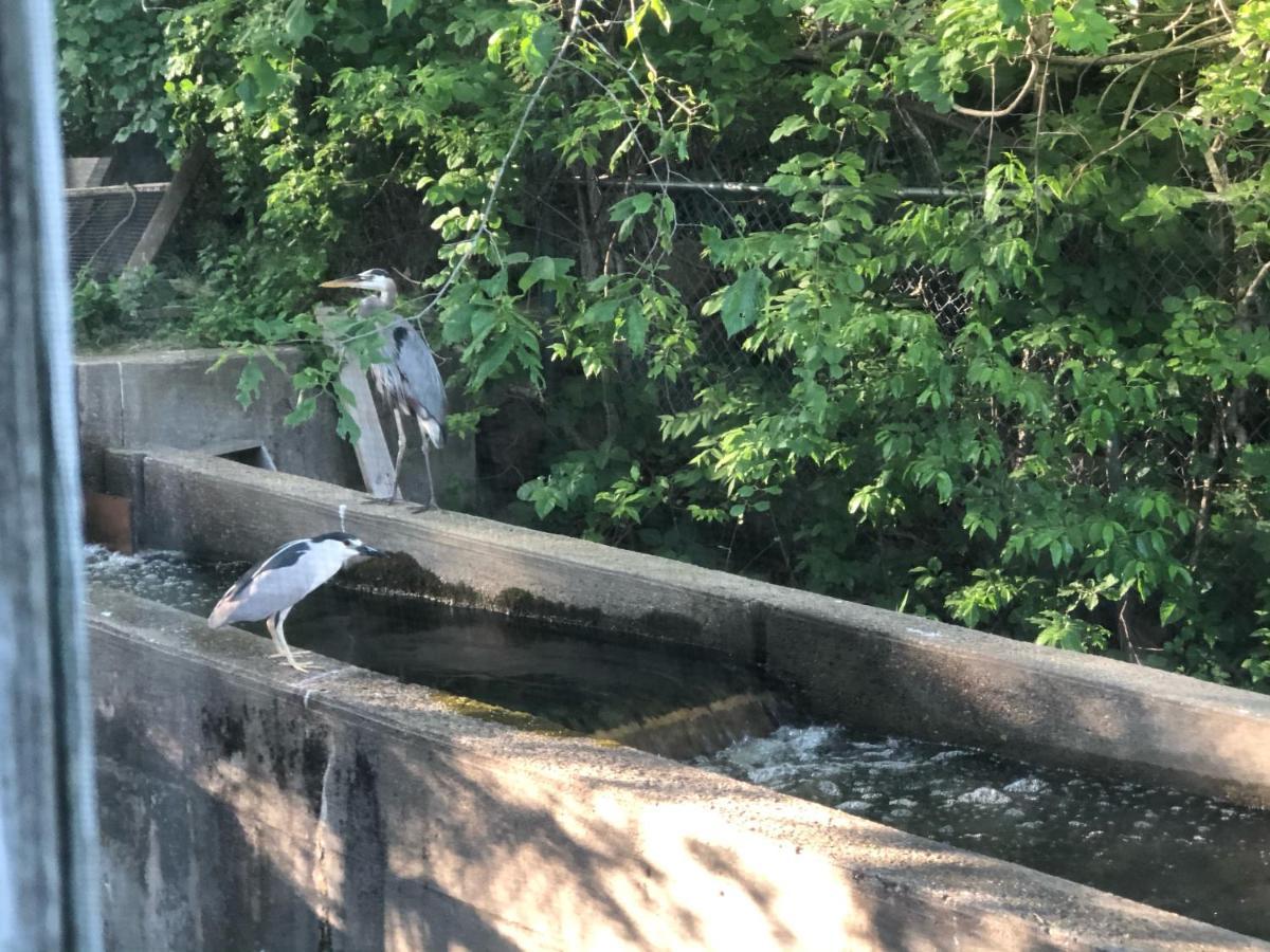 Herring Run Bourne Ngoại thất bức ảnh