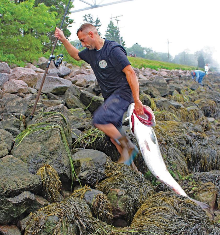 Herring Run Bourne Ngoại thất bức ảnh
