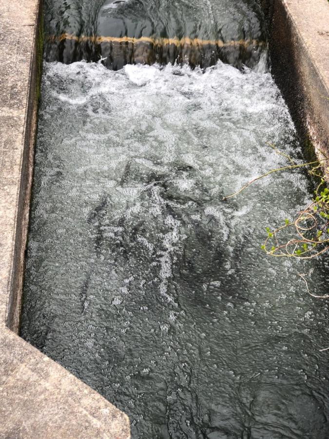 Herring Run Bourne Ngoại thất bức ảnh